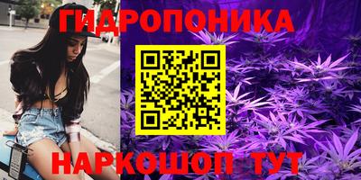 Альфа ПВП Будённовск