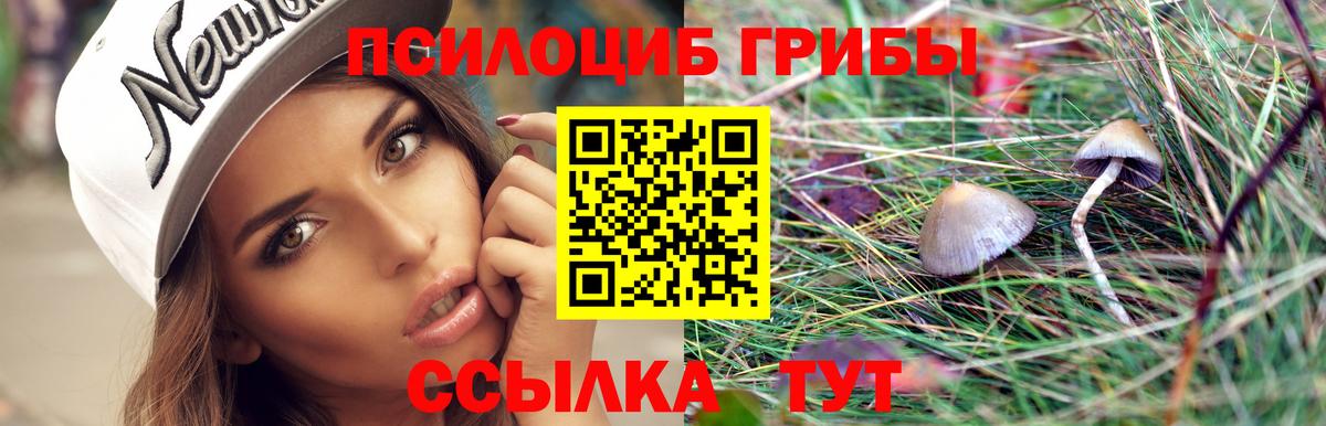 Сегежа  Галлюциногенные грибы ЛСД  Вход с VPN 